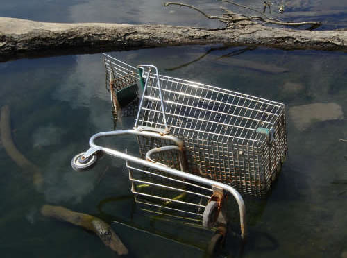 shopping-cart-abandonment